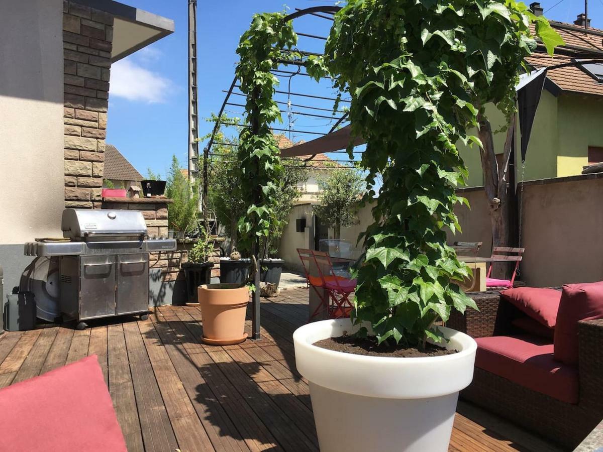 La Terrasse Selestadienne Селеста Экстерьер фото